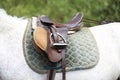 On the back of the horse, a brown leather saddle Royalty Free Stock Photo