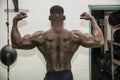 Back of hunky black male bodybuilder in gym