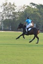 Horse polo player riding horse in games.