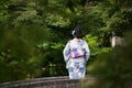 A Japanese girl in kimonos