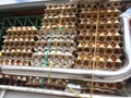 The back of a large truck that is loaded with white and brown eggs placed in eggholders