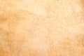 Back of Leather texture made from cow skin Royalty Free Stock Photo