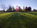 Back lit red maple tree in the park with sunbeam and shadow in the foreground Royalty Free Stock Photo