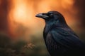 Back-lit scene of a beautiful Raven, Rook sitting alone in a woodland setting. - Generative AI art