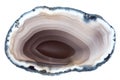 A back-lit slice of light brown concentrically layered agate