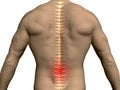 Back of a man with a translucent spine and a red area in the lumbar region. 3D. Vector illustration