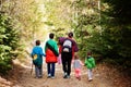 Back of mother with four kids walking on wood mountains. Family travel and hiking with childrens. Wear backpack Royalty Free Stock Photo