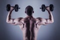 Back muscles Royalty Free Stock Photo