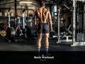 Back Muscles Definition at Gym