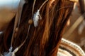 Back of native indian american woman walking in mountains in eve Royalty Free Stock Photo