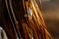 Back of native indian american woman walking in mountains in eve Royalty Free Stock Photo