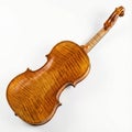 Violin Back Neck And Scroll Royalty Free Stock Photo