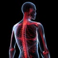 When Your Back is Aching: Understanding and Coping with Back Pain. Generative Ai
