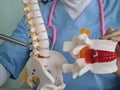 Doctor chiropractor explains causes of back pain rusing spine disk model Royalty Free Stock Photo