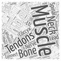 Back Pain and Tendons word cloud concept background