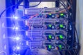 Back panel of powerful servers installed in the rack of the server room of the data center Royalty Free Stock Photo