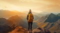 Back of person standing on rock looking out on mountain landscape