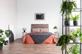 Back poster on the white wall of elegant bedroom interior with king size bed with wooden headboard and urban jungle on metal Royalty Free Stock Photo