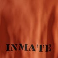 Prison Uniform Orange Jumpsuit Back