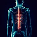 Back problems, pain, sciatica, spine