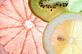 Back projected citrus slices. Royalty Free Stock Photo