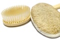 Back scrubbers Royalty Free Stock Photo