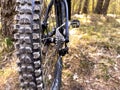 Back shot of mountain bike, rear wheel. Mountain bike tire, MTB Bicycle components Royalty Free Stock Photo