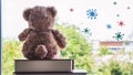 Back side brown teddy bear is sitting on a book side the window looking nature outside with virus on the air background