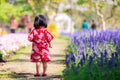 Back side of little girl in traditional Japan red dress take a walk in a flower garden in the bright tropical winter weather.