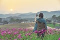 Back side long hair lady standing in cosmos field use smart mobile phonetake photo of view.Vintage picture style Royalty Free Stock Photo