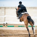 Back side view of a group of riders