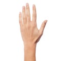 Back side of a woman hand Royalty Free Stock Photo