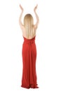 Back of the slim girl in a evening dress Royalty Free Stock Photo