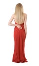 Back of the slim girl in a evening dress Royalty Free Stock Photo