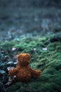 Back of a small brown teddy bear sitting on moss outdoors Royalty Free Stock Photo
