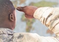 Back of soldier saluting against blurry map