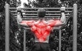 Back specialization in bodybuilidng. Man doing pull-ups on a horizontal bar