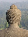 Head of stone Buddha statue Royalty Free Stock Photo