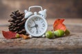 Back to school. Alarm clock, leaves and cones, September 1, autumn begins