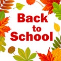 Back to school. Autumn background