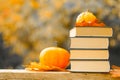 Back to school.Autumn thematic reading. Books and pumpkins in autumn garden with the rays of the sun.Start school and Royalty Free Stock Photo