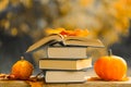 Back to school.Autumn thematic reading. Books and pumpkins set in autumn garden with the rays of the sun.Start school Royalty Free Stock Photo