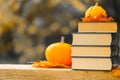 Back to school.Autumn thematic reading. Books and pumpkins set in autumn garden with the rays of the sun.Start school Royalty Free Stock Photo