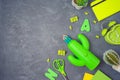 Back to school background with school supplies and cactus on blackboard. Top view from above Royalty Free Stock Photo