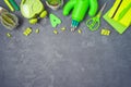 Back to school background with school supplies and cactus on blackboard. Top view from above Royalty Free Stock Photo