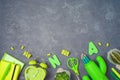 Back to school background with school supplies and cactus on blackboard. Top view from above Royalty Free Stock Photo