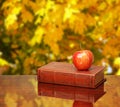 Back to school. Books and apple on the desk over autumn leaves Royalty Free Stock Photo