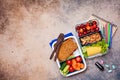 Back to school concept. Lunch box with healthy fresh food. Sandwich, vegetables, fruits and nuts in food containers, dark Royalty Free Stock Photo