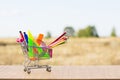 Back to school concept with shopping cart and multicolored pencils on the white background. The first of September. Royalty Free Stock Photo