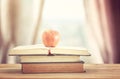 back to school concept. stack of books over wooden desk in front Royalty Free Stock Photo